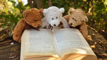 Teddys mit Buch
