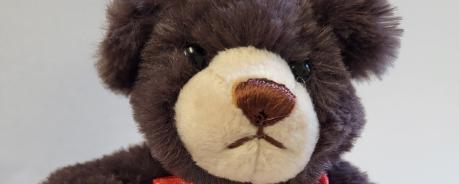Aidshilfe-Teddybär 2021/22 Teddybär der Aidshilfen 2021/22