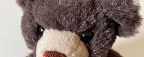 Teddybär 2021 Aids-Teddybäe 2021