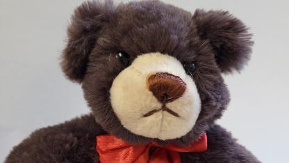 Teddybär der Aidshilfen 2021/22